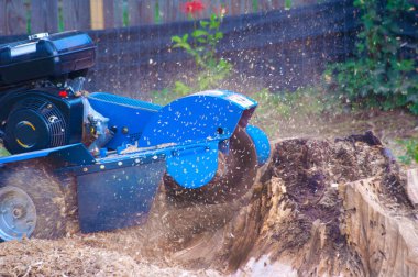 Stump Grinding